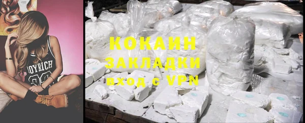 крисы Алзамай