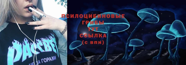 spice Алексеевка