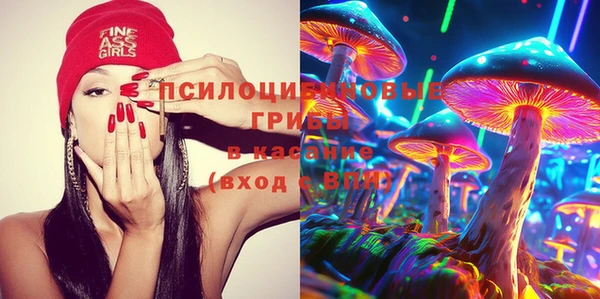 PSILOCYBIN Абинск