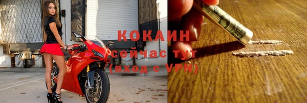 крисы Алзамай