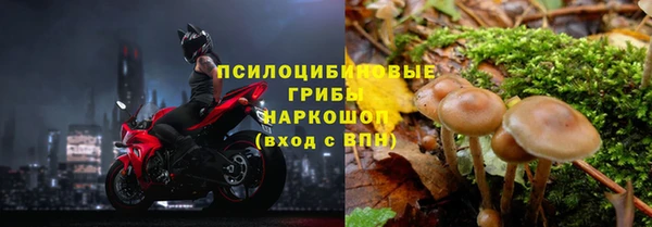 крисы Алзамай