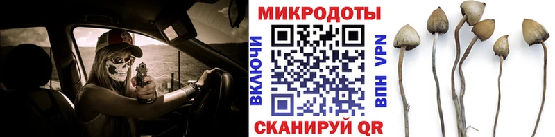 Псилоцибиновые грибы Magic Shrooms  Азнакаево 